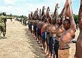 UPDF to recruit 1600 scientists